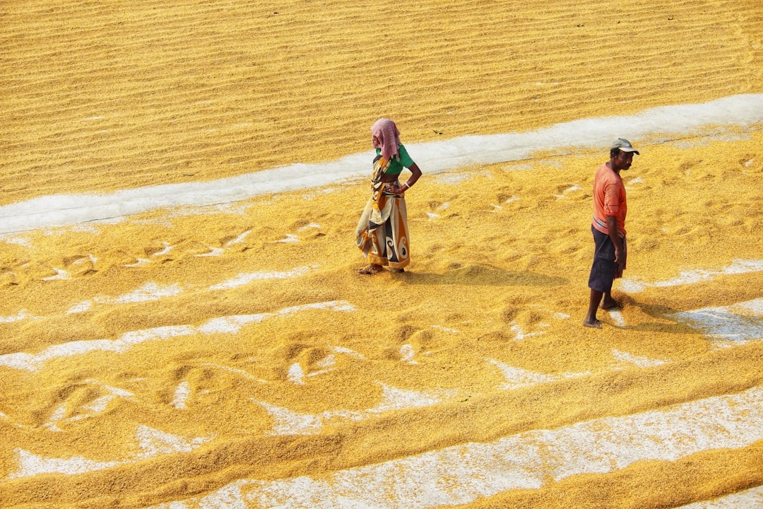 Agricultural loan