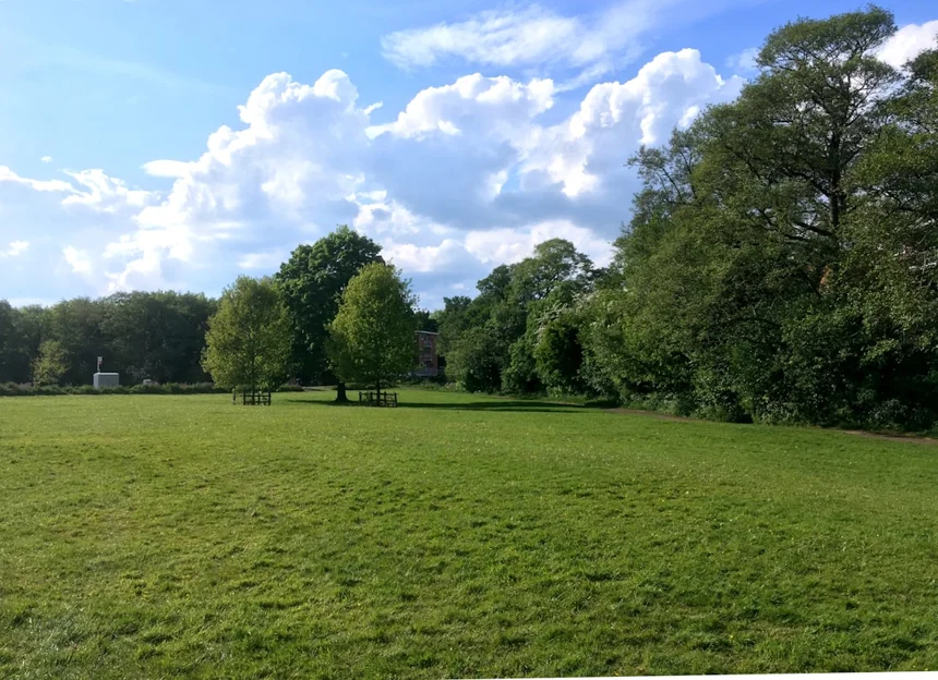 Lawn