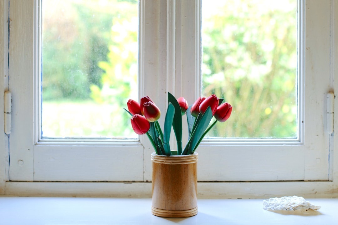 Window