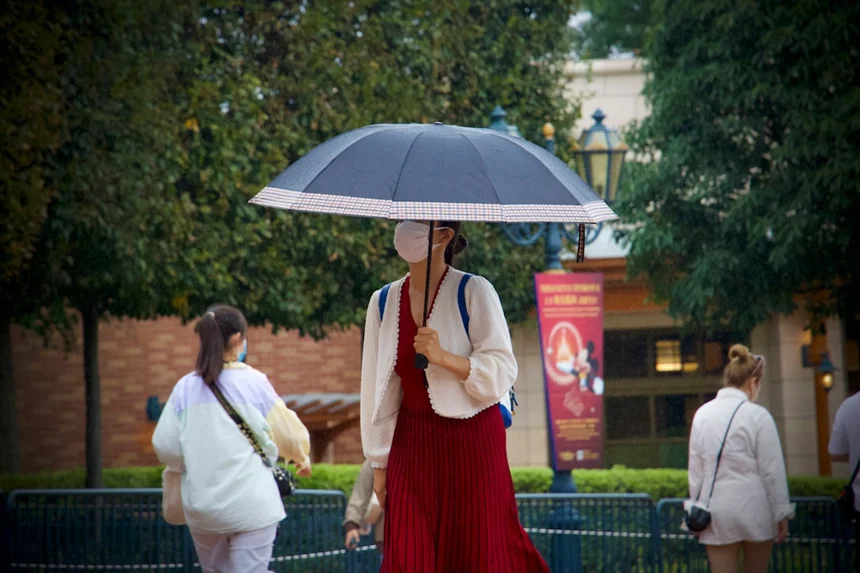 Umbrella