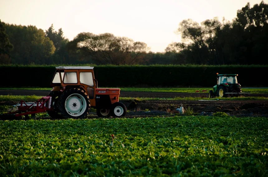 Agricultural loan