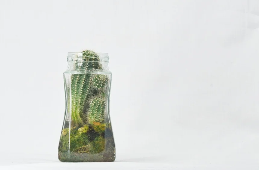Cost-effectiveness