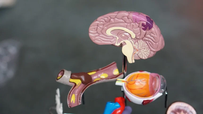 Dementia