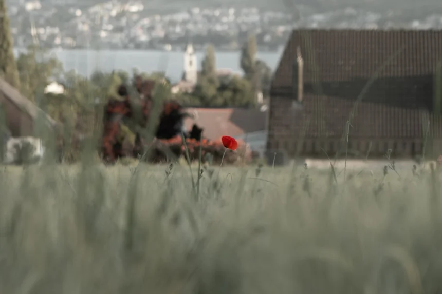 HelpRun