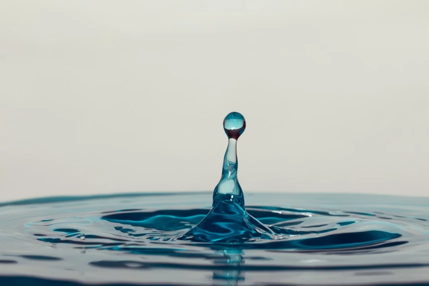 Liquidity