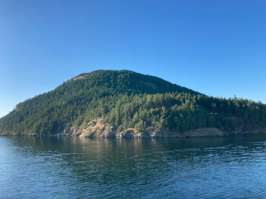 Island.