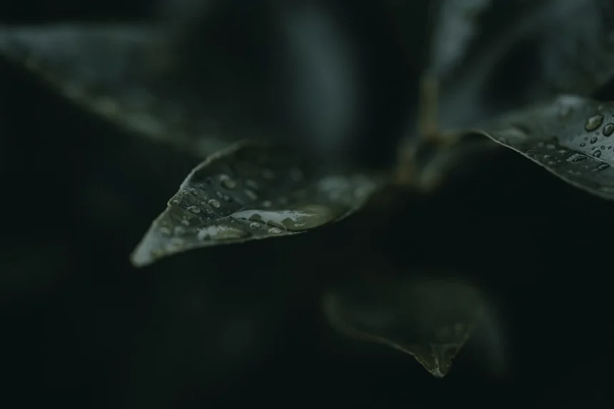 Sepsis