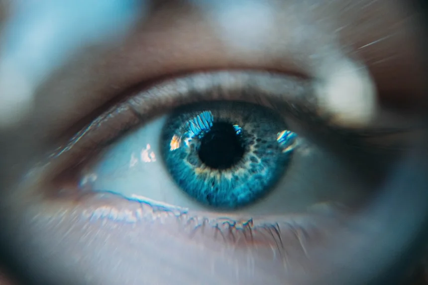 Vision