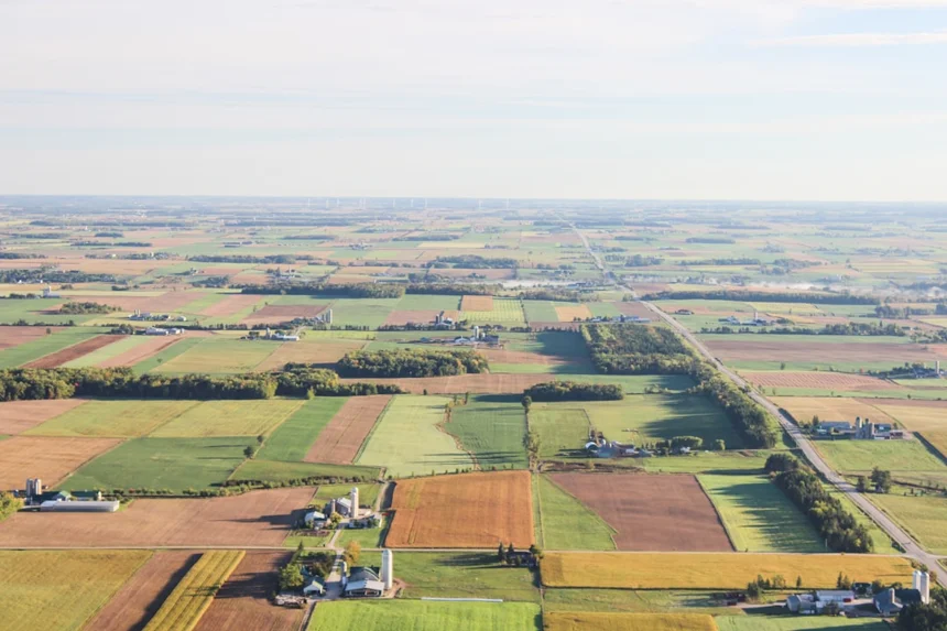 rural