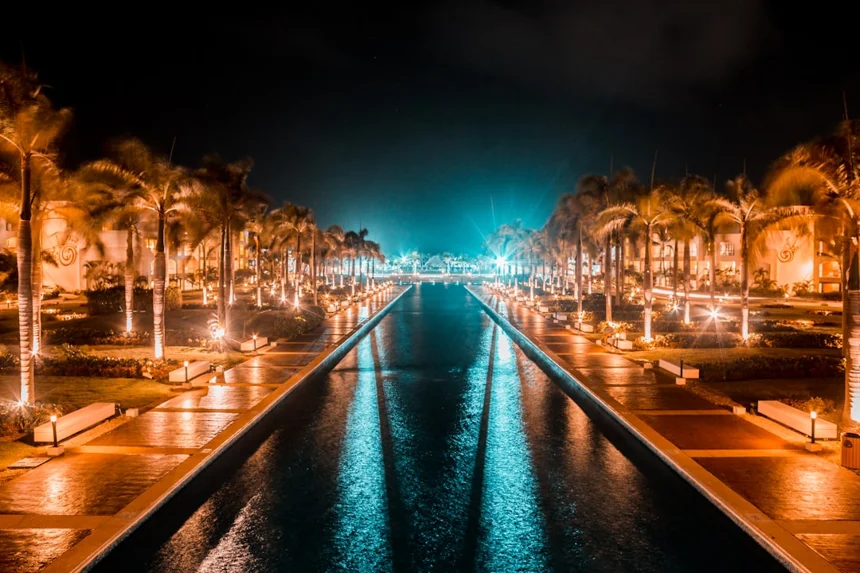 tropical night