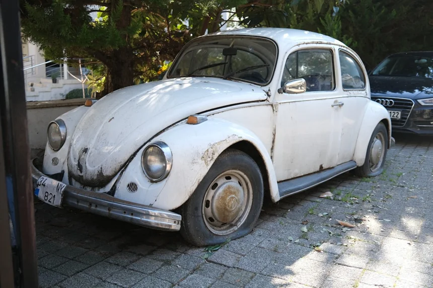 Beetle.