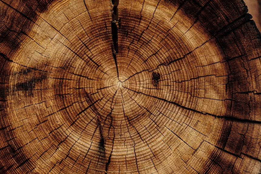 Circle