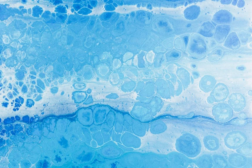 Cell