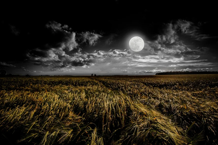 Moon