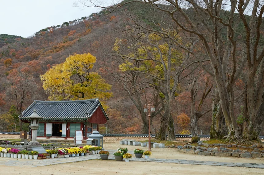 Goguryeo